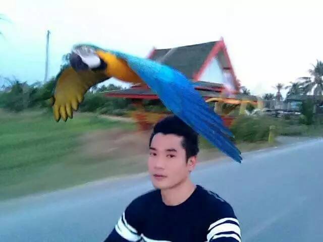 4916eec0b083fbc637c4cbc9cbe3debb.jpg