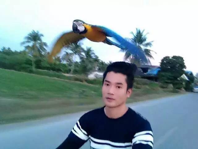 b66d8eea5baccb16e911628a8c9dae4a.jpg