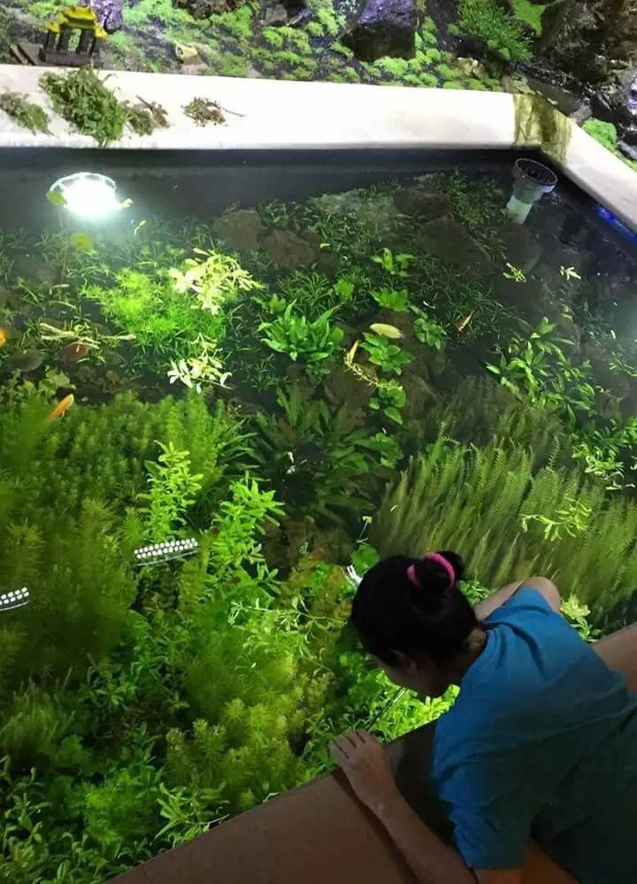 00e53f8762d72829bd233e8588d6054a.jpg