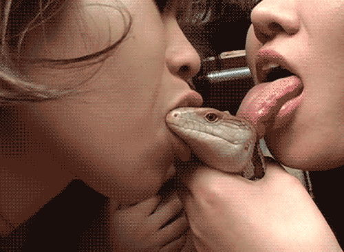 e273b6636870e931532cf00ee260fb65.gif