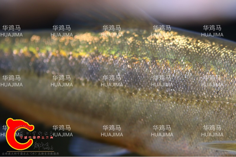 234527emhu533xmr4pzp39.jpg