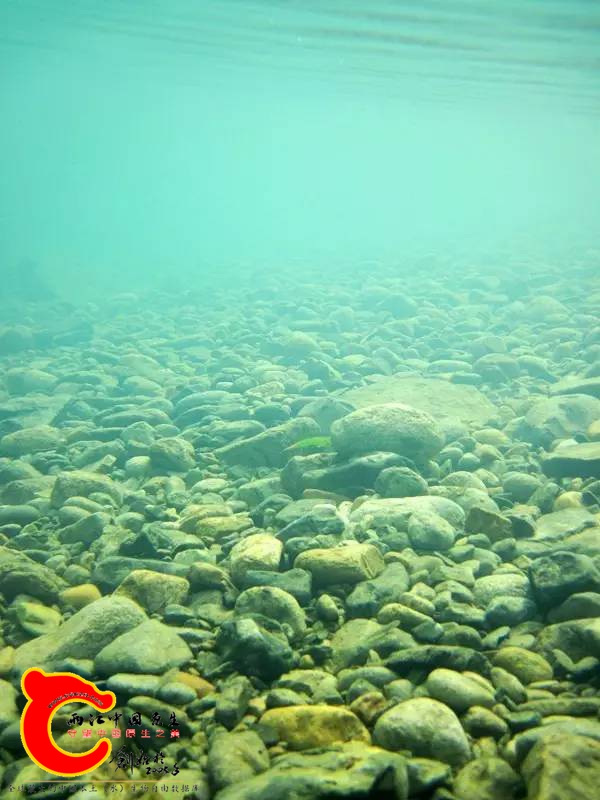 0dea20814a26fa1bcf1977b07da8e14f.jpg