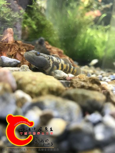 11111_meitu_1.jpg