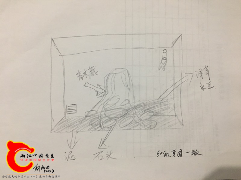 203133kffxvmh7o0hpqfeq.jpg