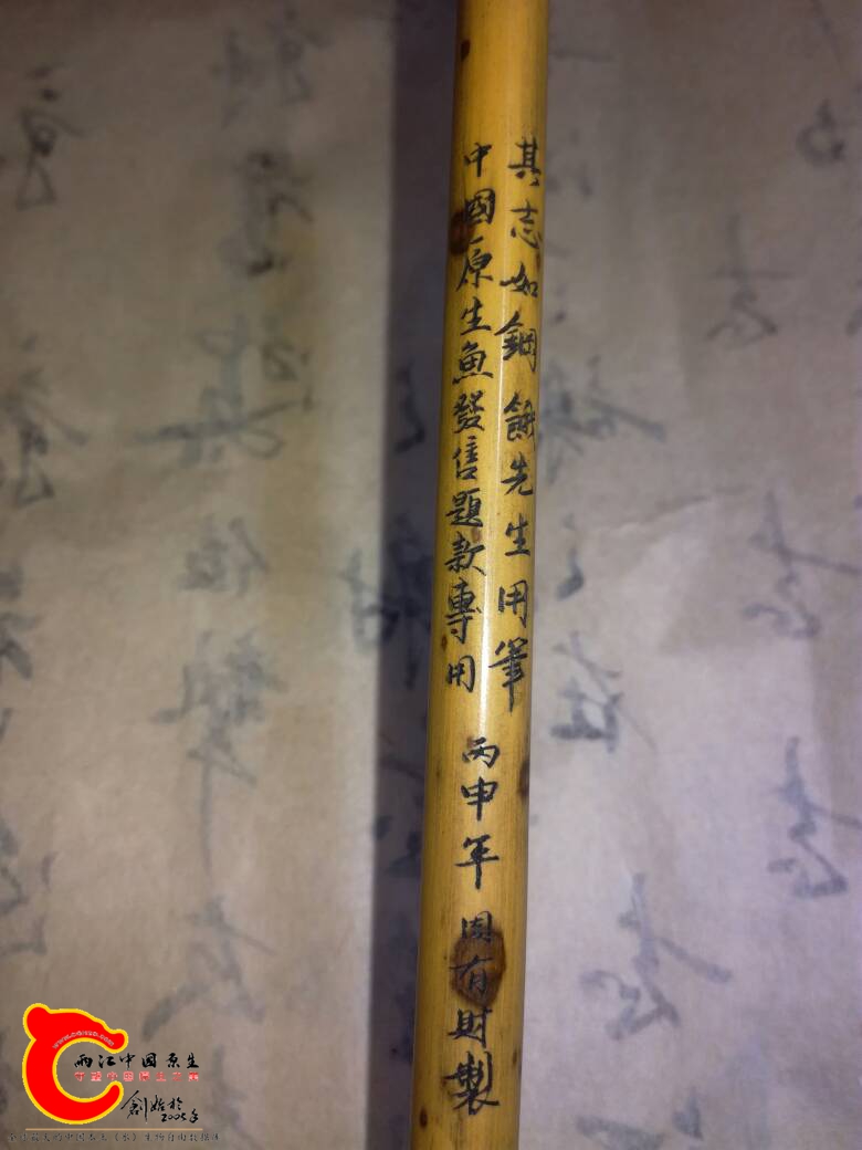 215300sbo939ojaujqzo8v.jpg