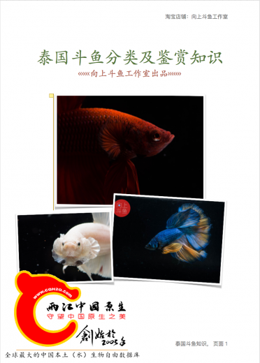 屏幕快照 2016-12-19 上午3.46.32.png