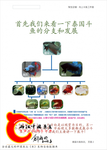 屏幕快照 2016-12-19 上午3.46.59.png