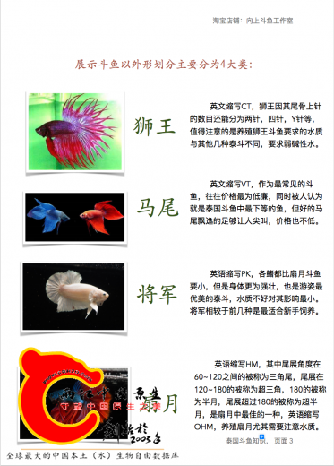 屏幕快照 2016-12-19 上午3.47.17.png