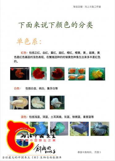 屏幕快照 2016-12-19 上午3.47.57.png