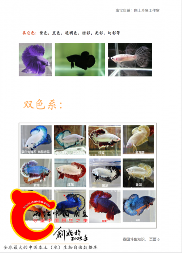 屏幕快照 2016-12-19 上午3.48.16.png