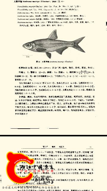 173524tz99n3nq19fa9177.png