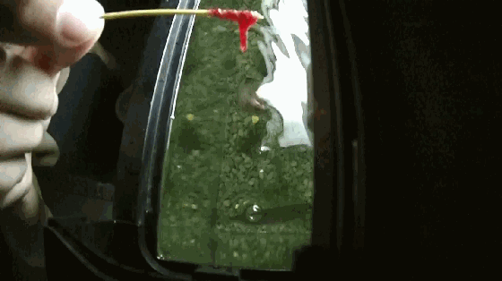 EZVZ0006_clip.gif