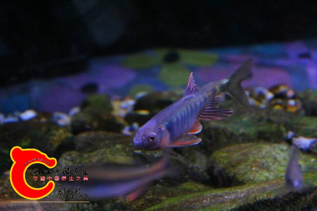 200433e9hvqcczdzchpe9e.jpg
