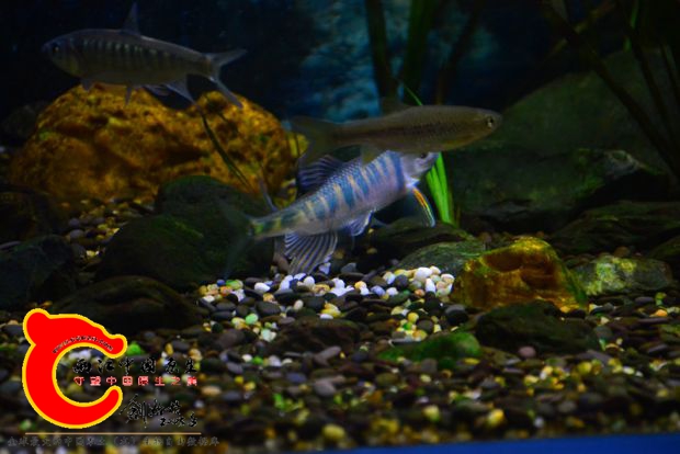 DSC_2655.JPG