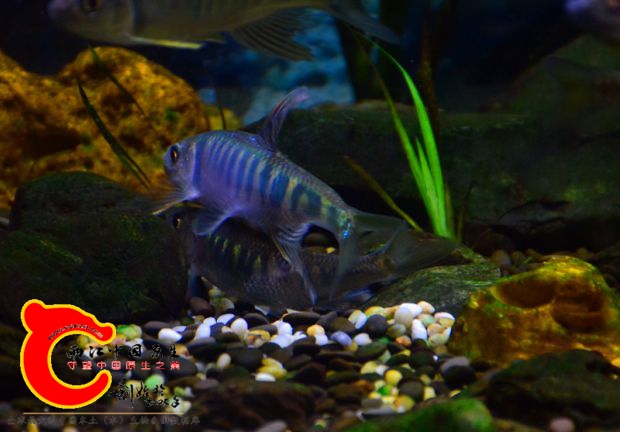 DSC_2656.JPG