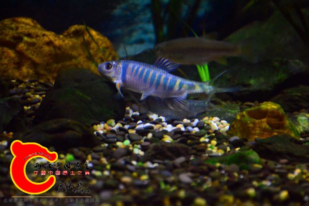 DSC_2685.JPG
