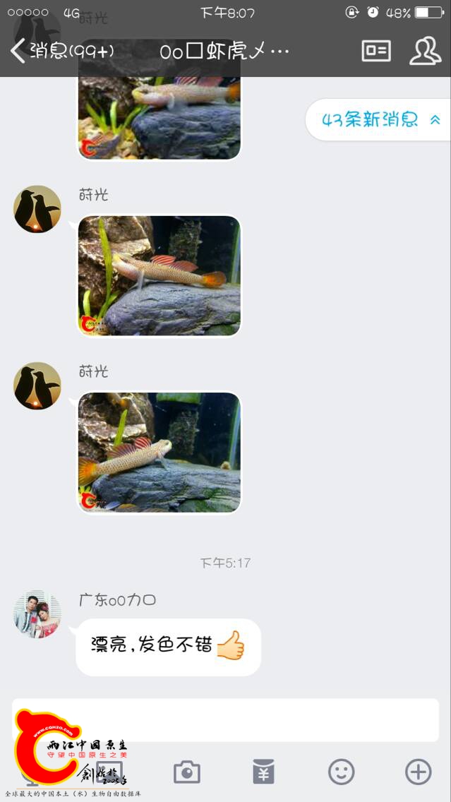 214855kk0l8remoieivonk.png