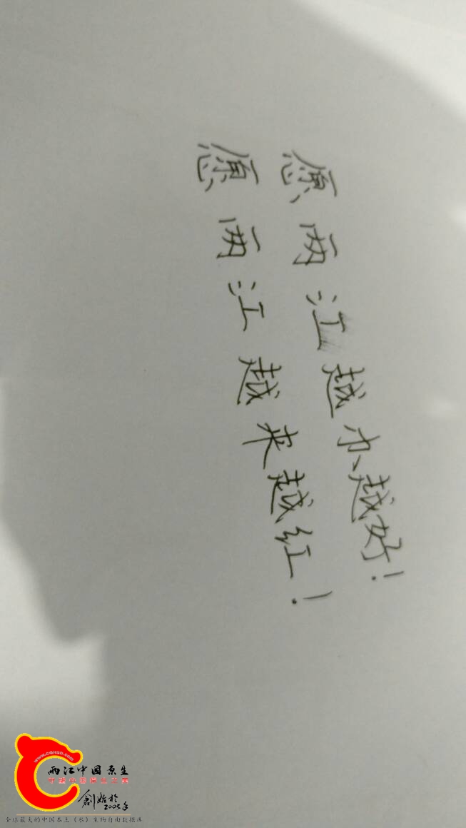 221423d24iu1uswulsulwj.jpg