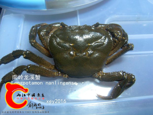 SL741887_副本.jpg
