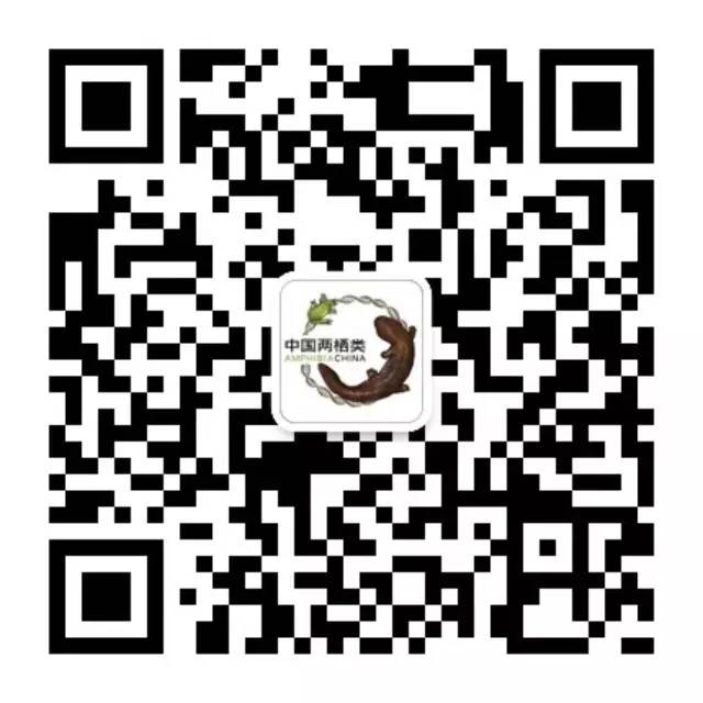 f77952b037d350108e0ea2d9d2f961e8.jpg