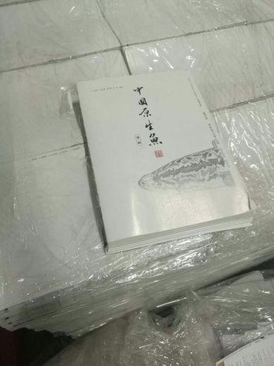 mmexport1482865135192.jpg