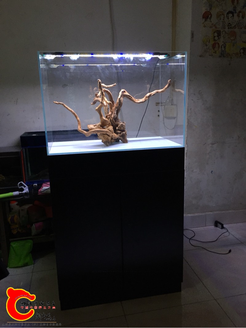 115912qcc2rkyjj62rk036.jpg