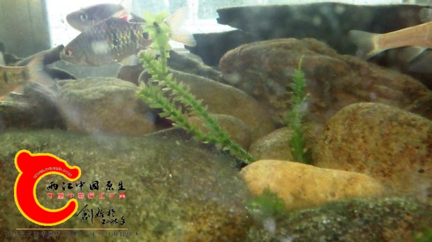 IMG_20161228_114847.jpg
