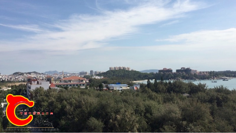 160441zl0ibr03pzryjzpa.jpg