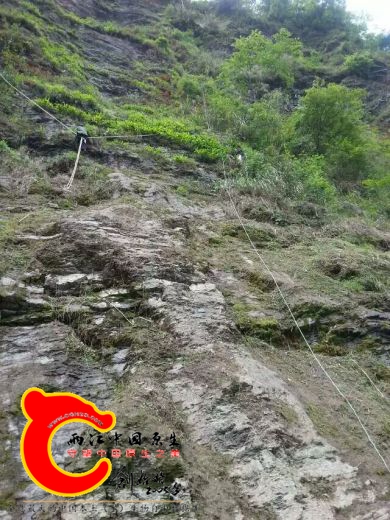 安全措施