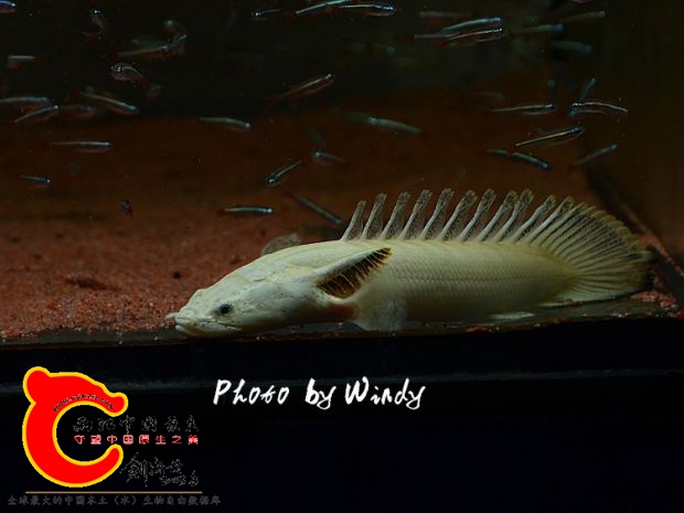 DSC_4670_副本.jpg