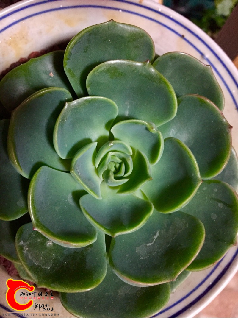 233021ik2qkikm8731mqqy.jpg