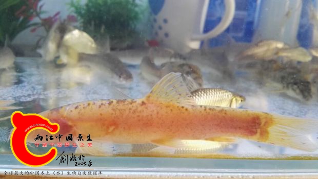 QQ图片20170102192209.jpg