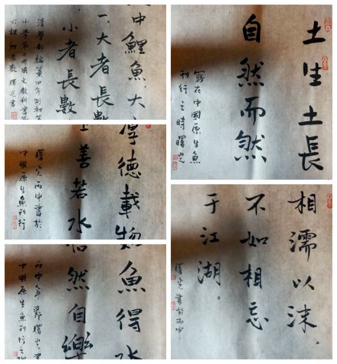 IMG_20170104_133805_副本.jpg