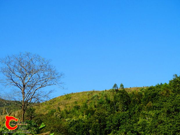 DSC03567.JPG