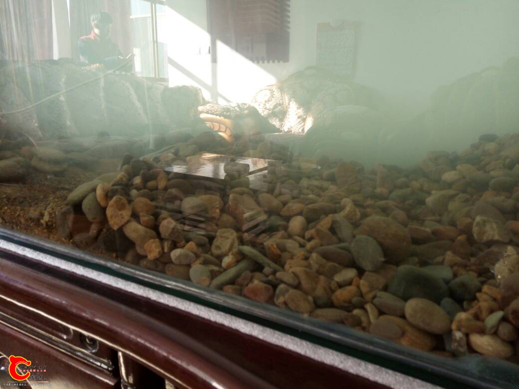 221209t59gwjyq0jyyjvtv.jpg