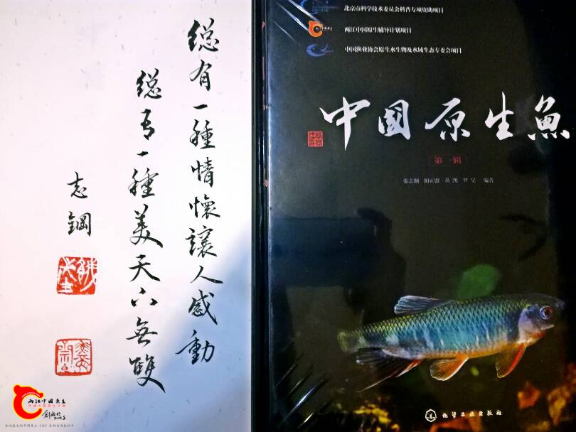 032623yu7cnyv7p9cpb677.jpg