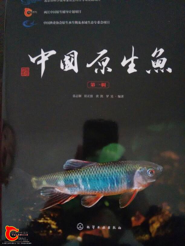 131523ug2dltr8l8g8rg2t.jpg