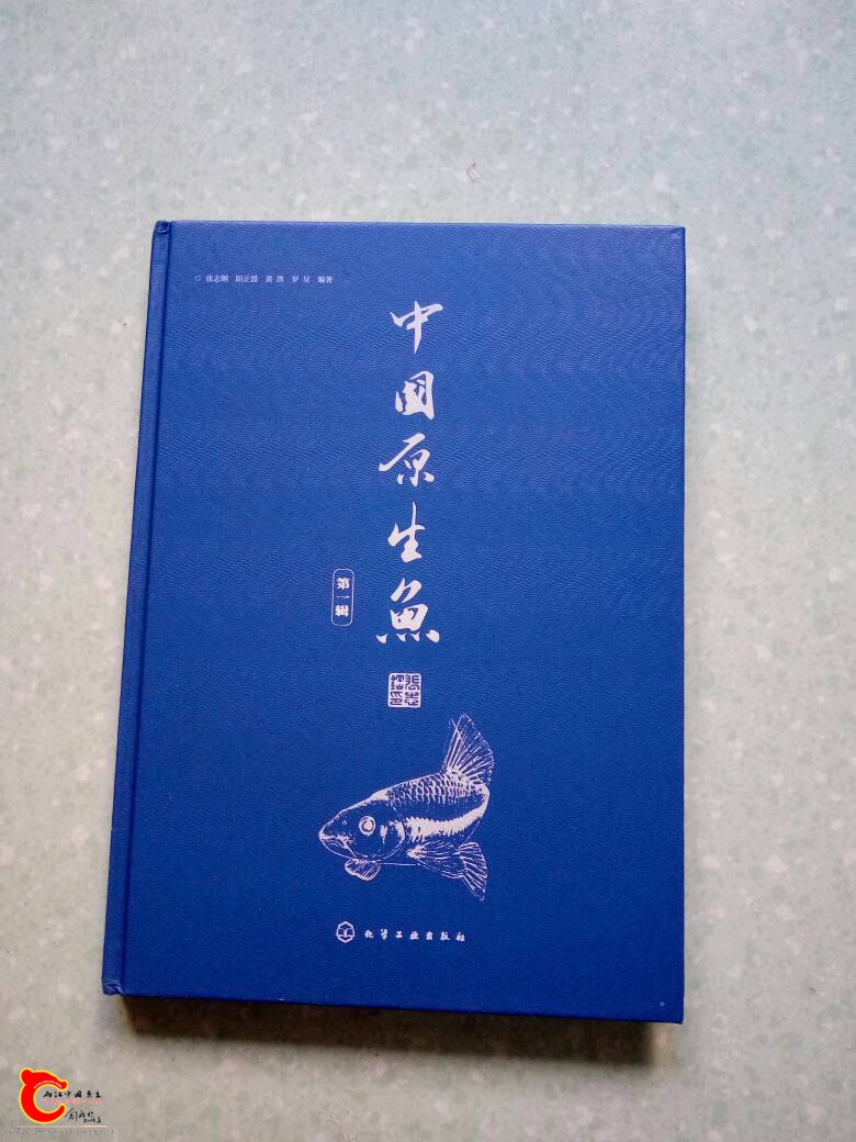 140025xhkchzckmjaqcc9h.jpg