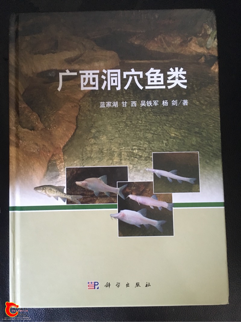 154537zj5qes52o652q555.jpg