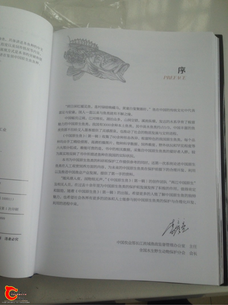 155541dplqinxwn88q8mmr.jpg