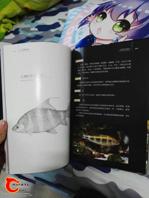 135552p4pf4pfrxp44rxpl.jpg
