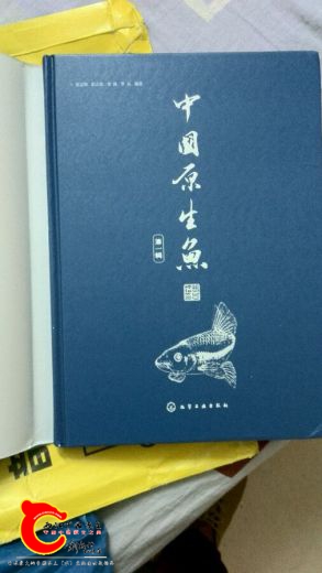 d15625d3d539b60072fb0ef4e050352ac75cb7d0.jpg