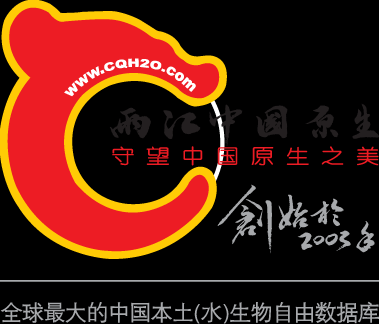 始创2003 LOGO &amp; 数据库 拷贝.png