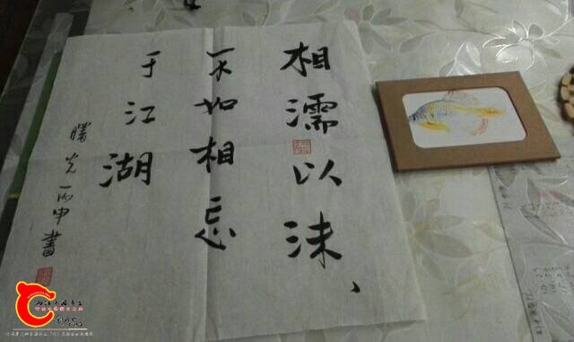 235646b05ryl6a4ul0yyau.jpg