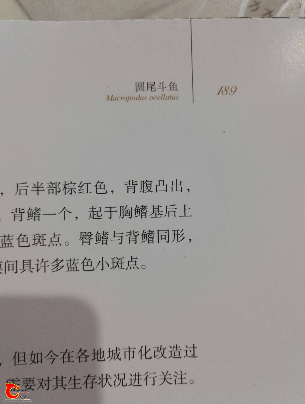 000612prf2gk2cqr4qrxzf.jpg
