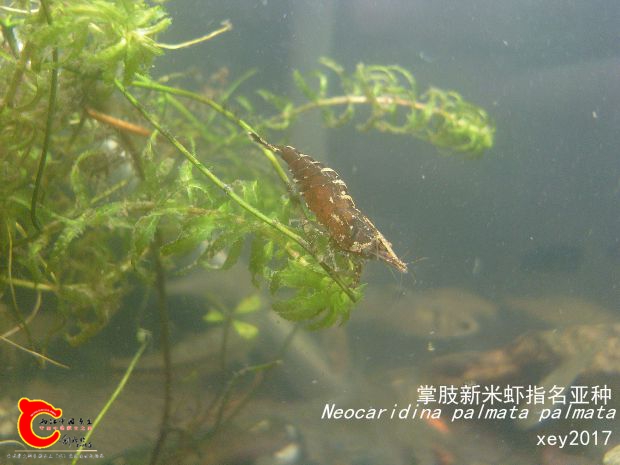 SL742095_副本.jpg