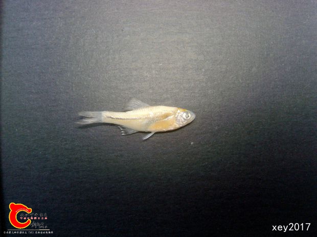 SL742099_副本.jpg