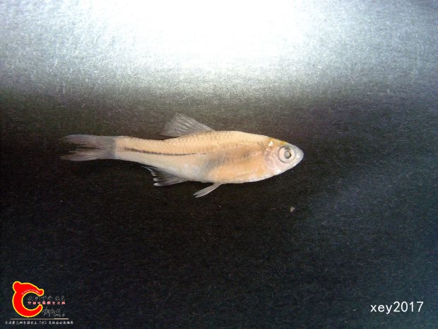 SL742100_副本.jpg