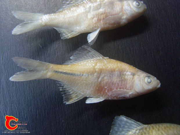 SL742106_副本.jpg