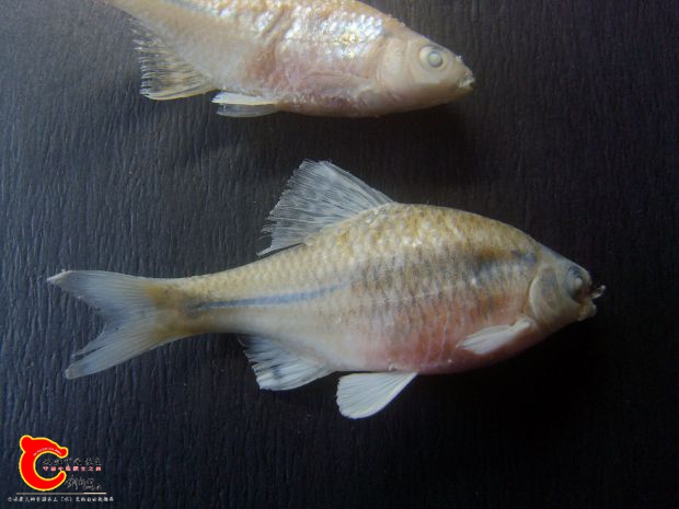SL742107_副本.jpg